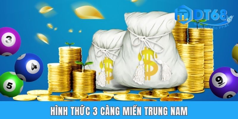 Lô 3 Càng Là Gì? Cẩm Nang 4 Cách Soi Cầu Hiệu Quả Từ DT68 Lô 3 Càng Là Gì? Cẩm Nang 4 Cách Soi Cầu Hiệu Quả Từ DT68